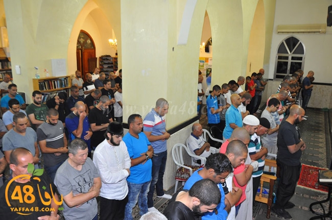 traw7 jabalayaua (8).JPG